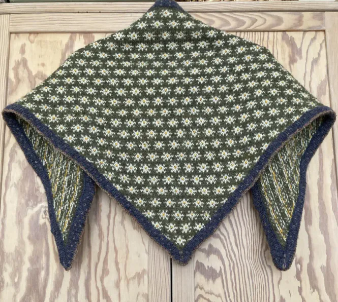 Hoofdbeeld Madeliefjes shawl